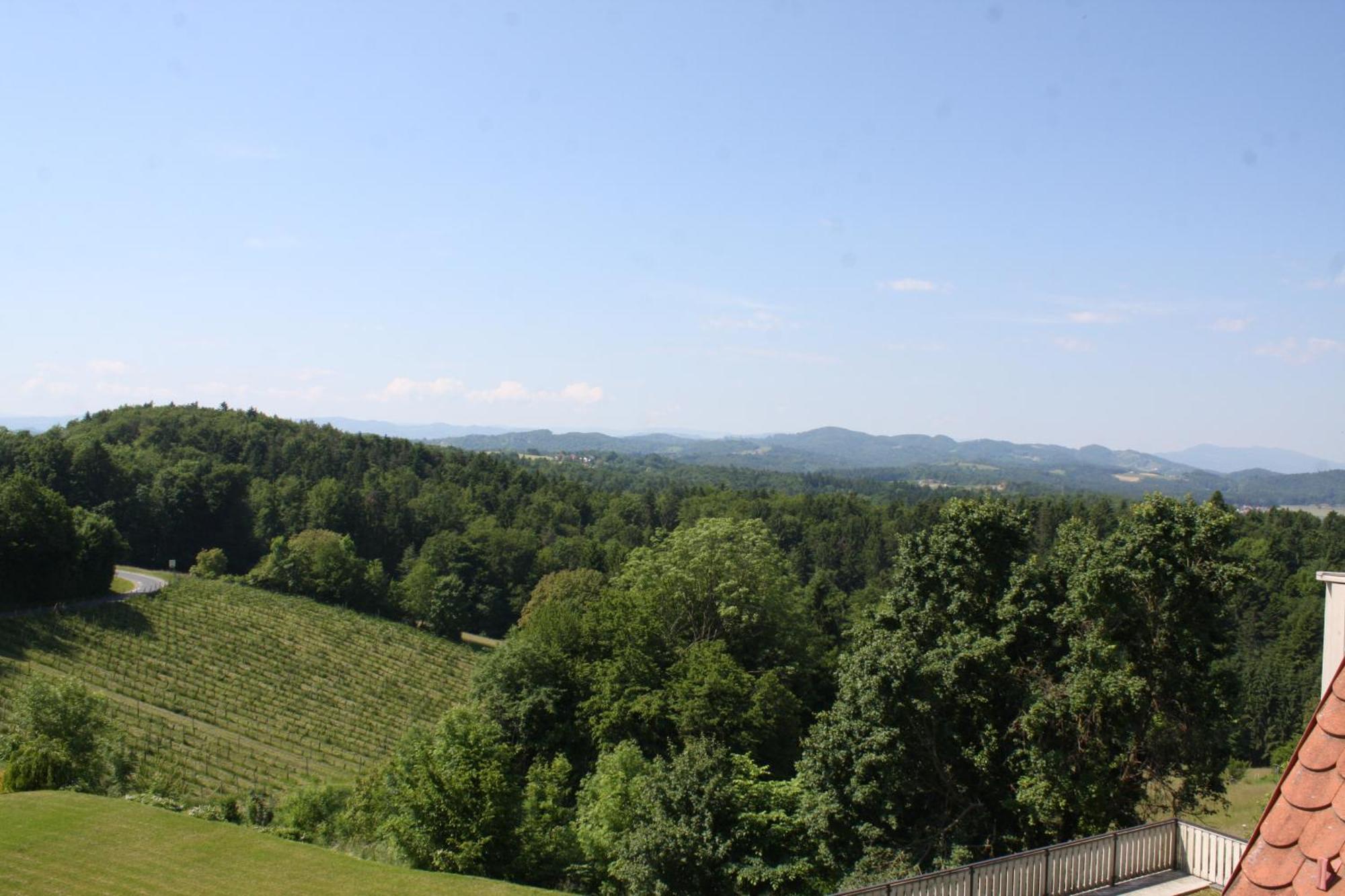 Hotel Garni Am Seggauberg 3*